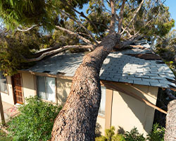 Storm Damage